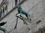 Perugia Palazzo Statue