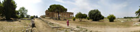 Paestum Panorama